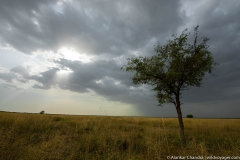 the landscapes