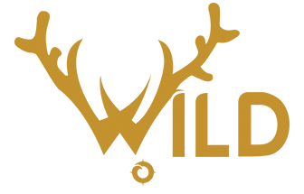 Wildvoyager
