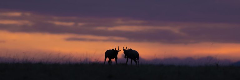 Kenya travel advisory