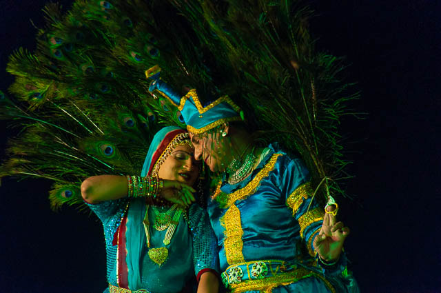 peacock dance