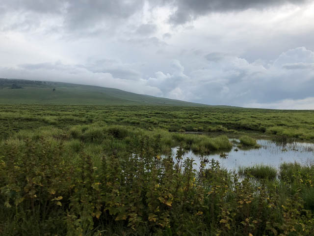 Ngorongoro views