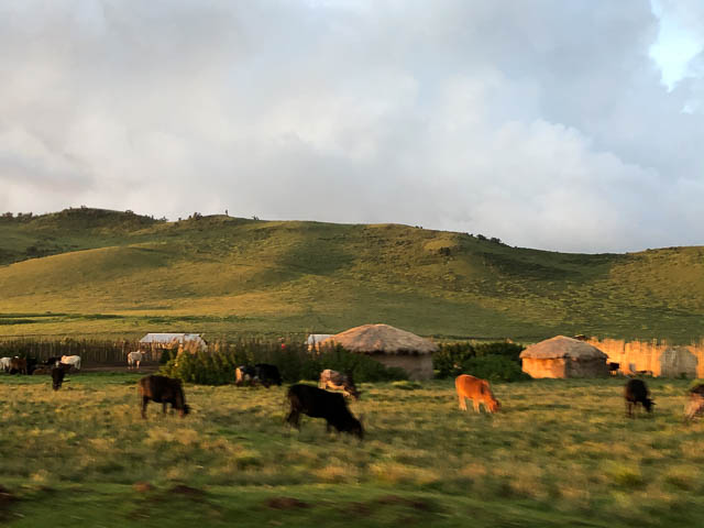 Maasai village at Ngorongoro