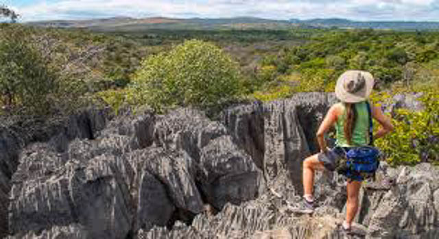 Amber Mountains walking safari