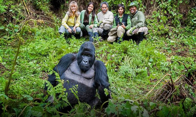 Bwindi walking safari