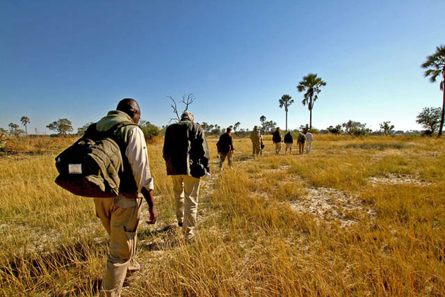 Chief's Island Botswana