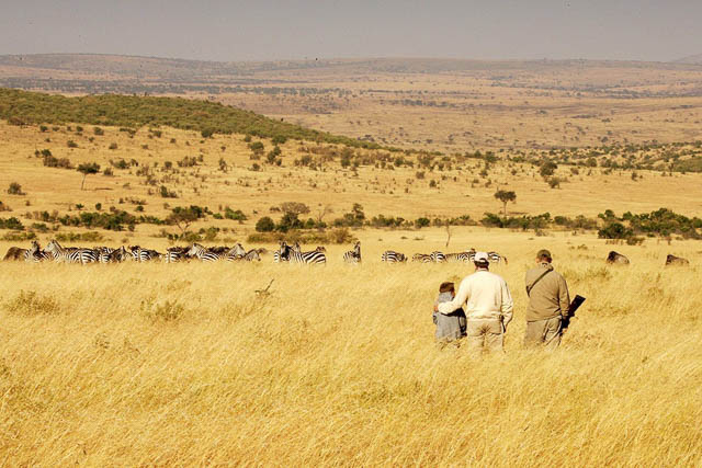 Masai Mara walking safari