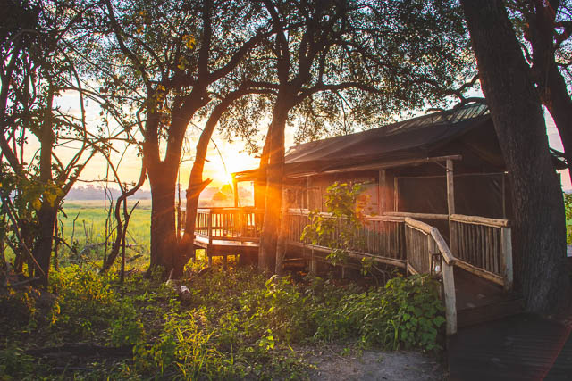 Camp in Okavango