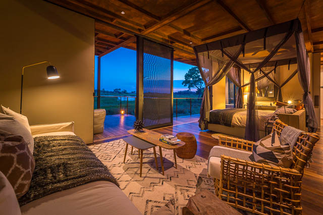 Luxury stay in Okavango
