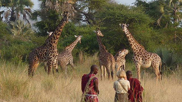 Selous walking safari