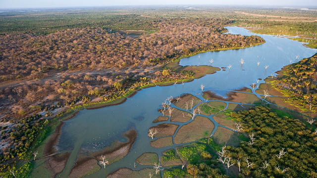 Swamps of Okavango