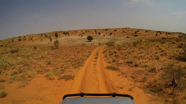 Driving in the Kalahari