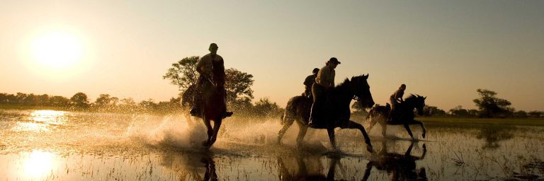 African horseback safaris