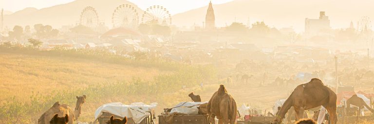 Pushkar fair 2021