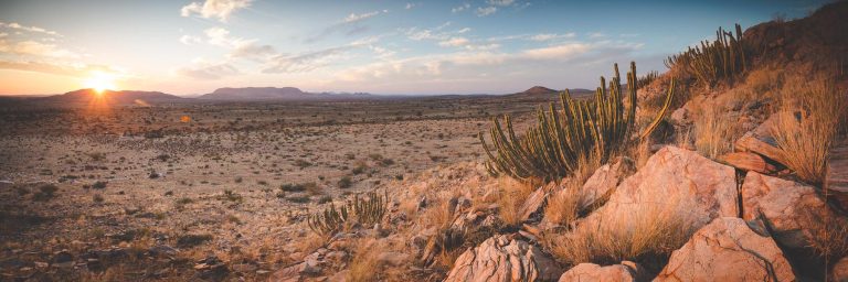 Terrain of kalahari