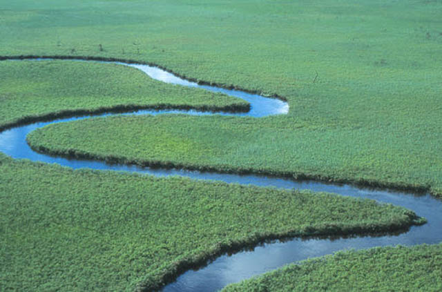 Aerial view of Okavango