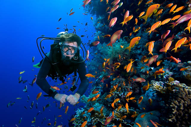 Diver in Raja Ampat