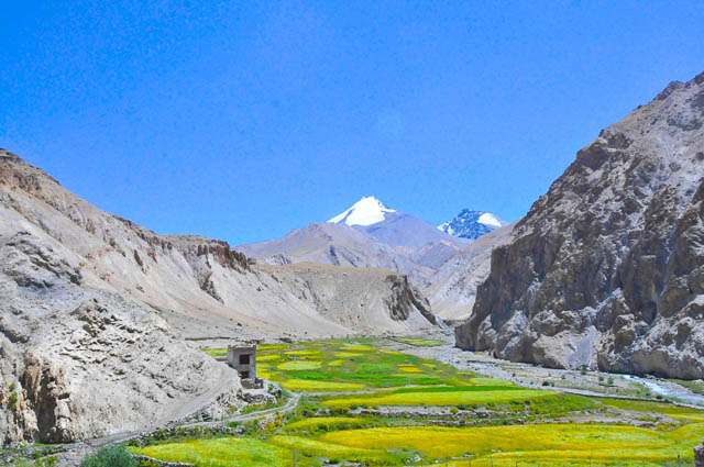 markha valley