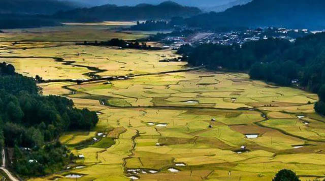 Ziro Arunachal