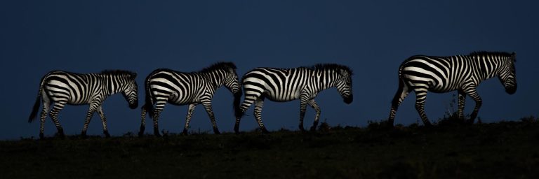 grumeti reserve