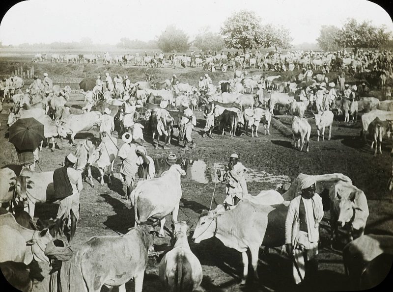 The Sonepur cattle fair in the year 1913