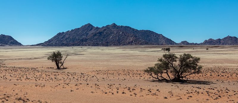 The incredible view from atop Elim dune