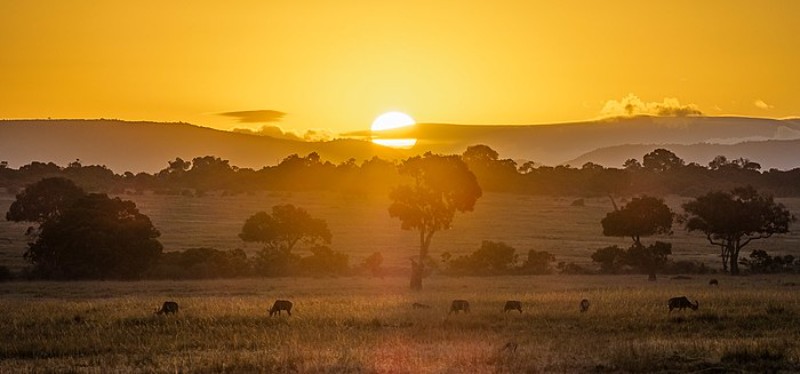 A beautiful scenery of Maasai Mara
