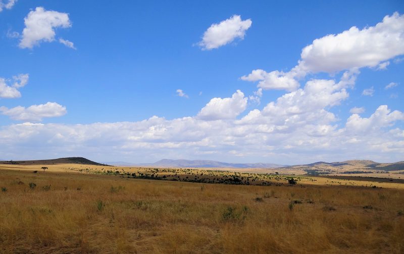 A typical clear day at the Mara