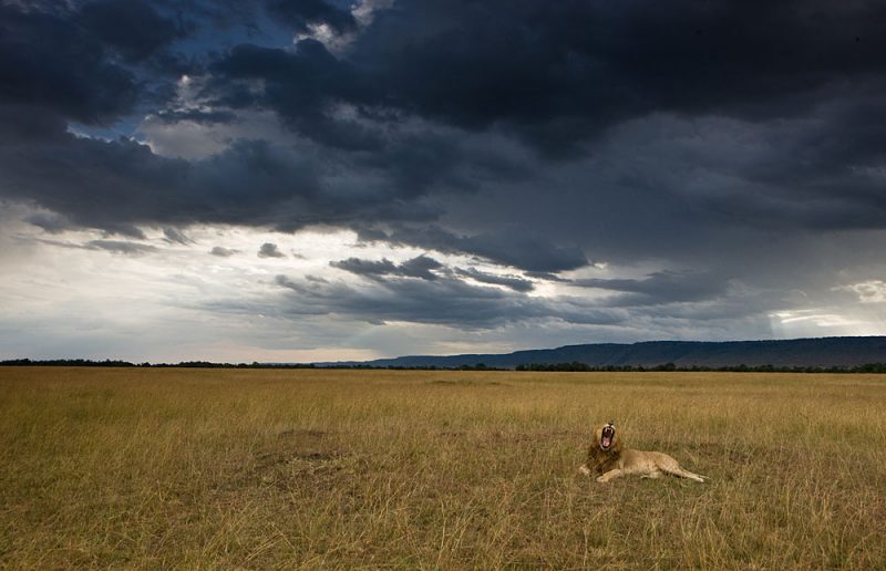A cloudy day in Maasai Mara