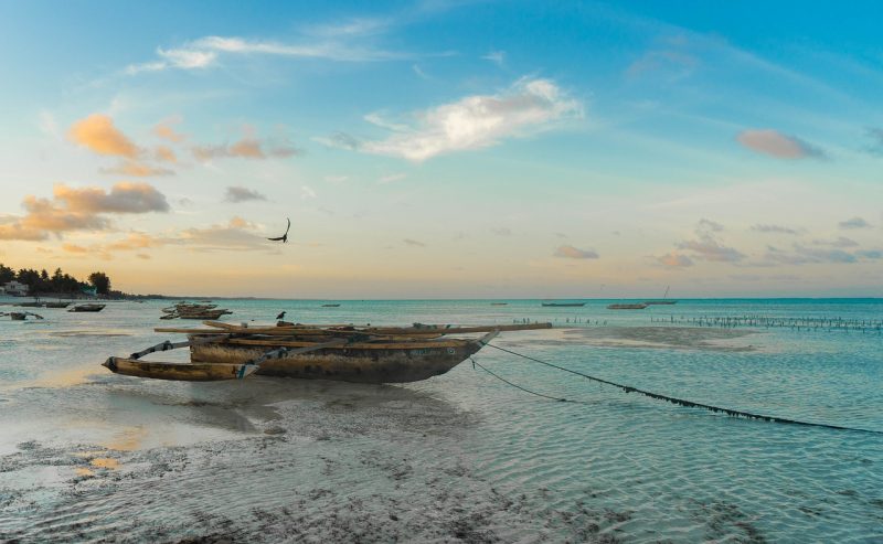 A beautiful view of Zanzibar
