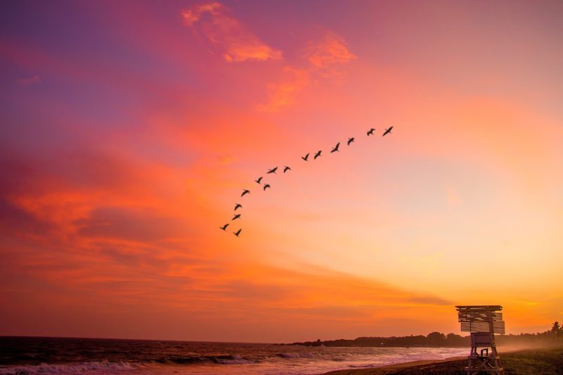 A stunning landscape of Galle