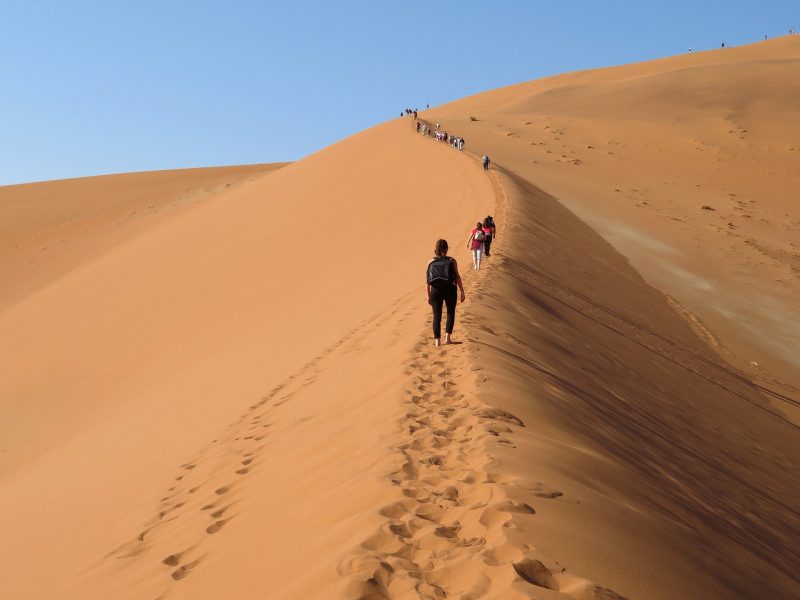 People making their way on top of Big Daddy dune
