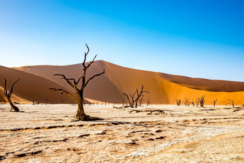 The surreal Namibia desert