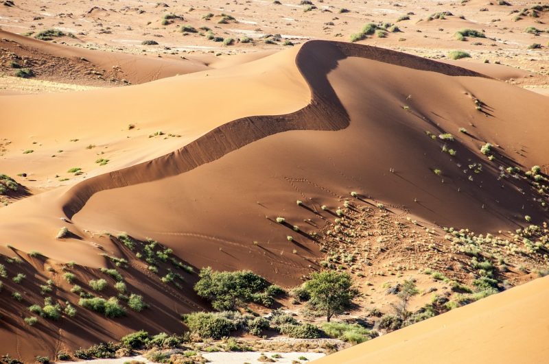 The edge of Namib desert
