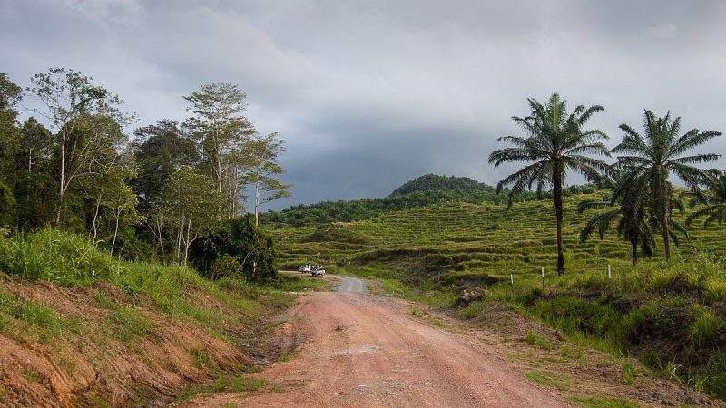 The off-beaten paths of Tabin Wildlife Reserve