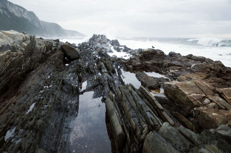 Tsitsikamma, Garden Route