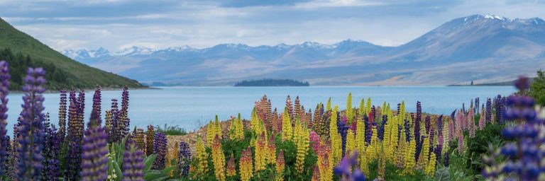 new zealand activities