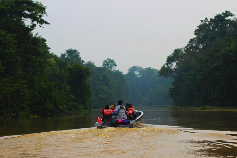 A boat tour in Kinabatangan River, Sabah