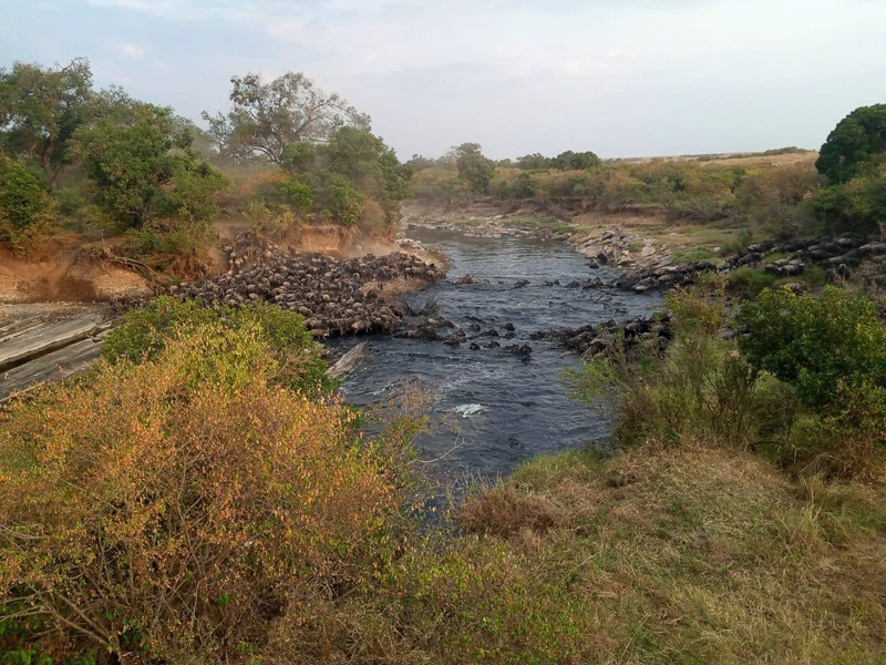 Crossing on Olare Orok river