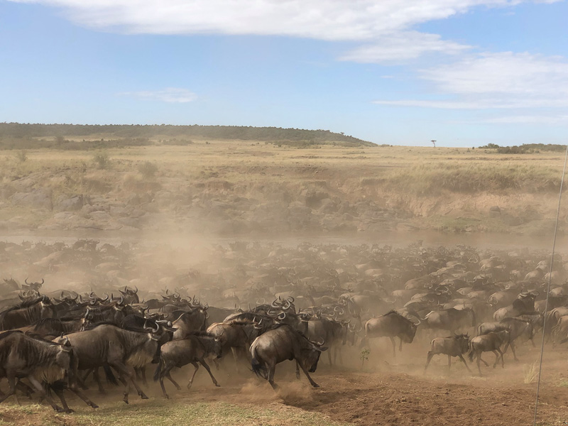 Another day, another crossing