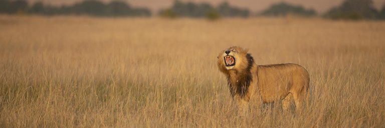 Ngorongoro hotels