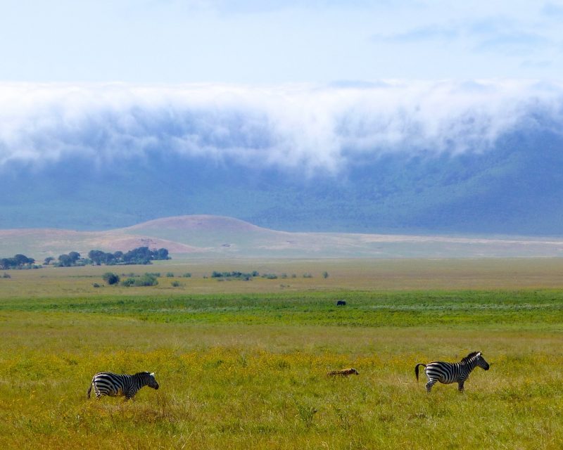 The scenic Ngorongoro crater of Tanzania
