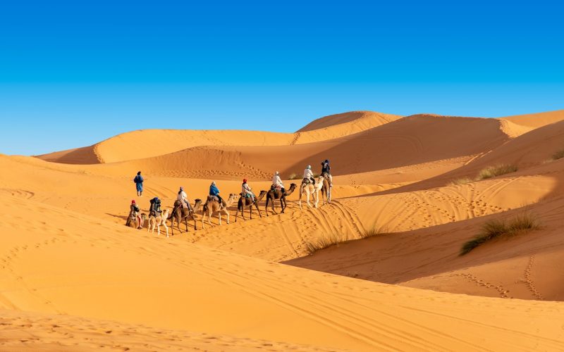 Camel rides over Erg Chebbi dunes