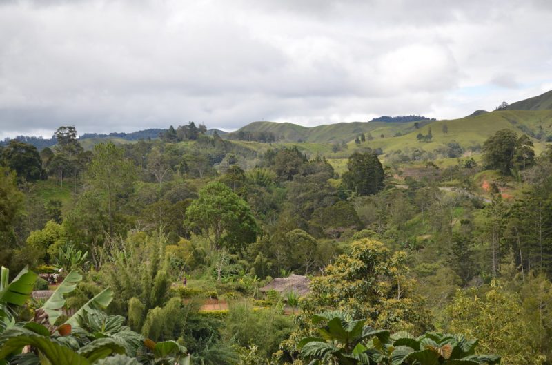 The luscious highlands of New Guinea