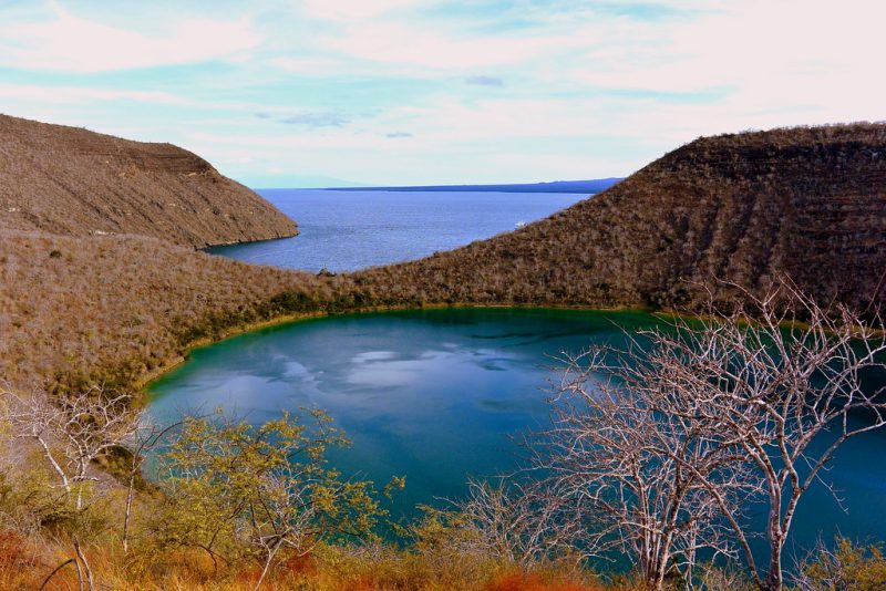 Darwin's lake on Isabela Island