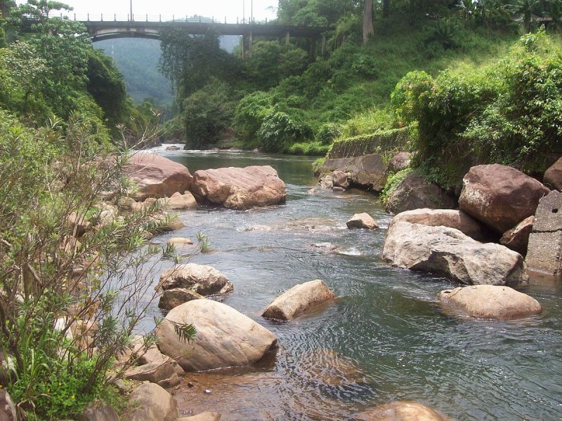 The green Kitulgala forest reserve