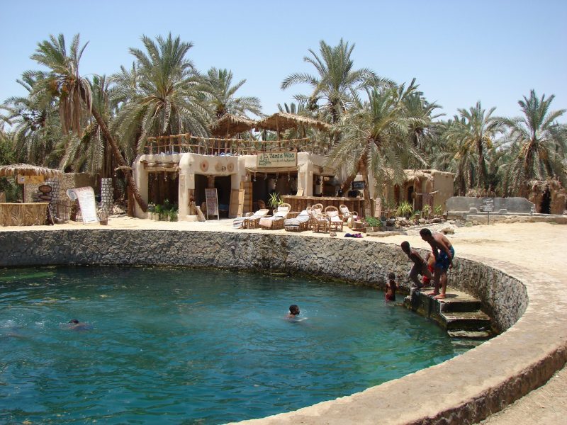 The gorgeous Siwa Oasis