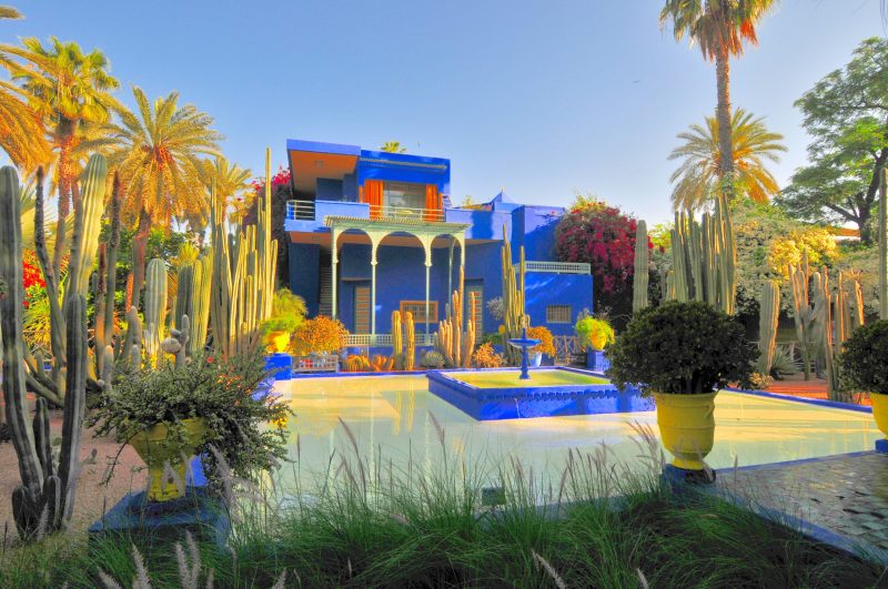 The vibrant Majorelle Gardens in the Sahara Desert