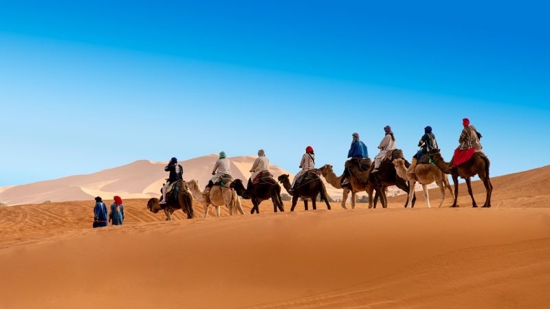 Camel rides in Egypt's Sahara Desert