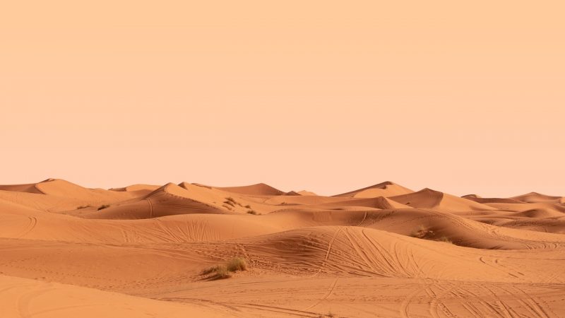 The vast Erg Chebbi