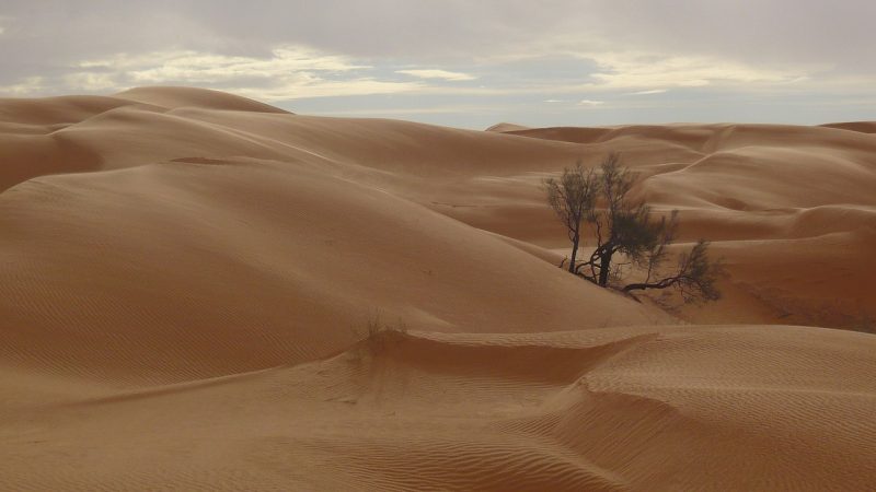 Tunisia's Sahara Desert